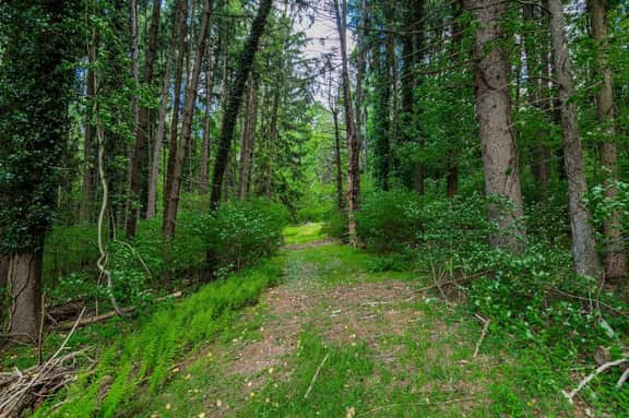 The Safe Harbor Home | Quiet Retreat, Fire Pit, Nature